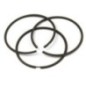 Kolbenringsatz Standard - 793435 Kolbenringsatz Standard - 793435