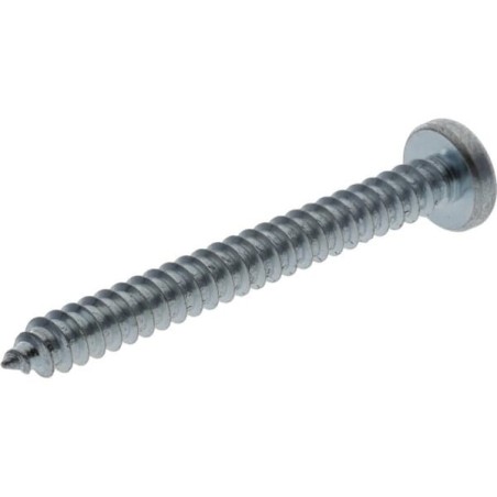 Self tapping screw torx 5.5x45mm - 7981C5545TX100