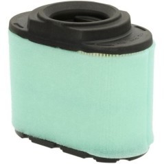 792105 Briggs & Stratton, Filter 