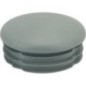 Plastic pipe plug 2 1/2 inch - 803070212FA Plastic pipe plug 2 1/2 inch - 803070212FA