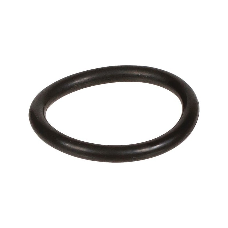 O-Ring 2,62 x 20,24 - 803195002 O-Ring 2,62 x 20,24 - 803195002