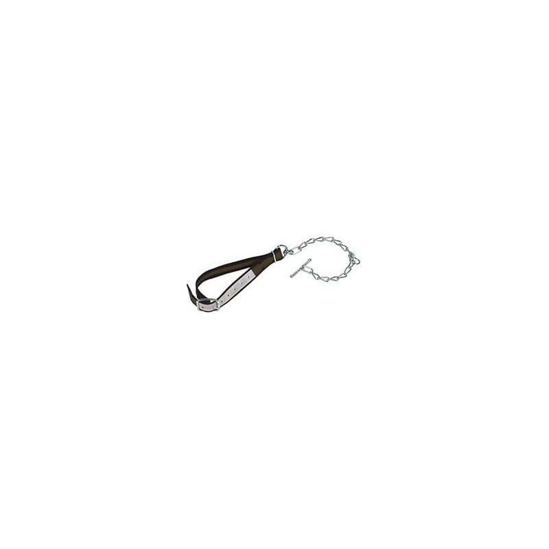 Collar for young cattle 100x4cm - 803060KR Collar for young cattle 100x4cm - 803060KR