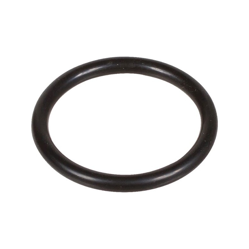O-Ring 2,62 x 22,22 - 803200002