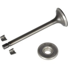 808687 Briggs & Stratton, Motorteile 