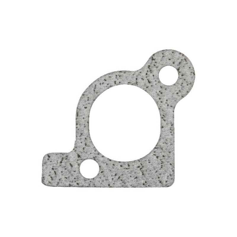 Intake gasket - 806418