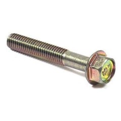 Briggs & Stratton rolniczeczesci.pl
