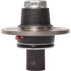 80824 Dal-Bo, Dalbo 