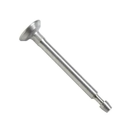 Intake valve - 807680