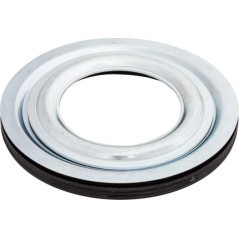 8113239935 JF, JF 