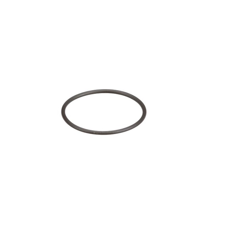 Seal ring - 8097979FPT