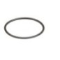 Seal ring - 8097979FPT