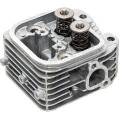 809200WM Briggs & Stratton, Motorteile 