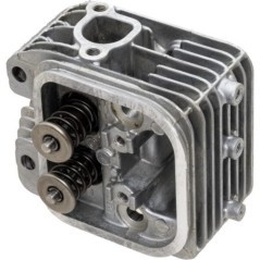 809200WM Briggs & Stratton, Motorteile 