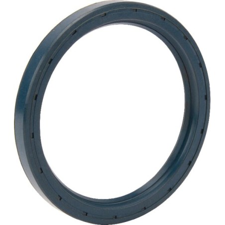 Radial Seal - 8113159858