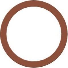 Sealing ring - 8114010964