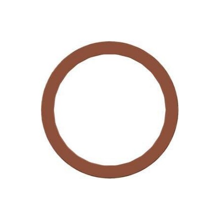 Dichtungsring DI - 8114010964