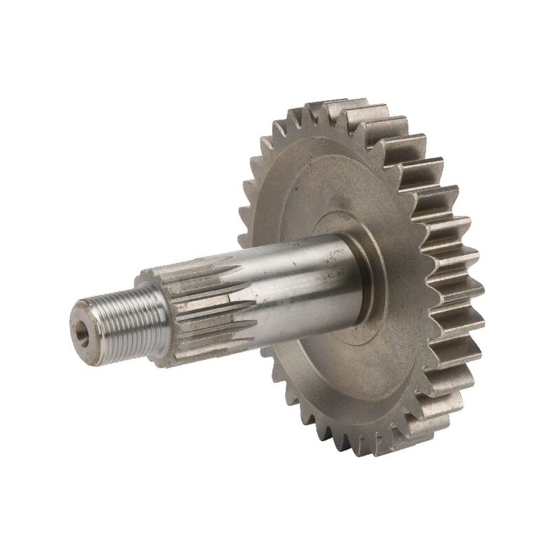 Kettenrad - 812085706X Kettenrad - 812085706X