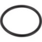 Ring - 831702M1 Ring - 831702M1