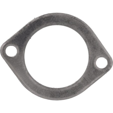 Outlet gasket Hsg - 820093