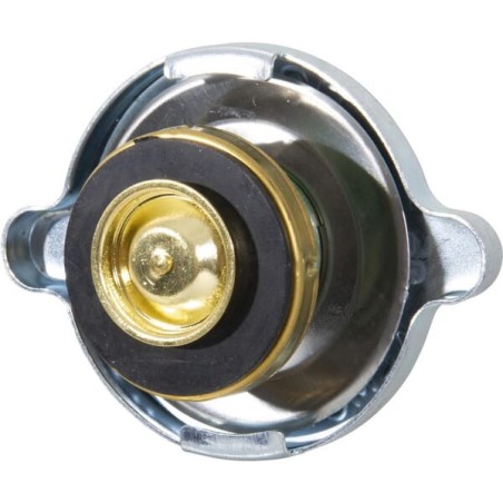 Kühlerdeckel NH - 83935905N