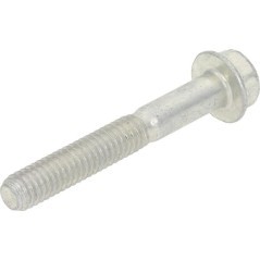 84001963 Briggs & Stratton, Screws and nuts 
