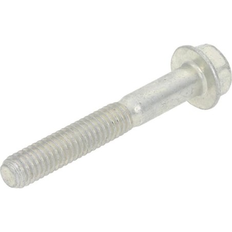 Screw - 84001963