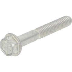 84001963 Briggs & Stratton, Schrauben und Muttern 
