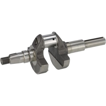 Crankshaft - 84004523WM