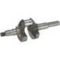 Crankshaft - 84004523WM Crankshaft - 84004523WM