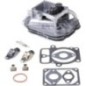Cylinder head - 84001918 Cylinder head - 84001918