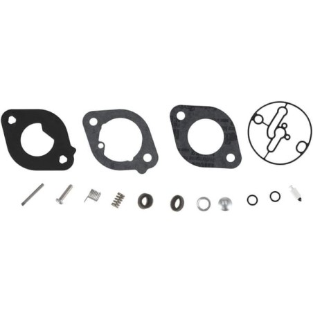 Carburettor overhaul kit - 84001917