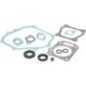 Engine gasket set - 84004308 Engine gasket set - 84004308