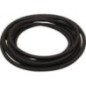 Strap - 813278195X Strap - 813278195X