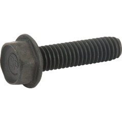 817580520 AYP, Screws and nuts 