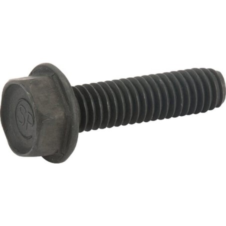 Screw - 817580520