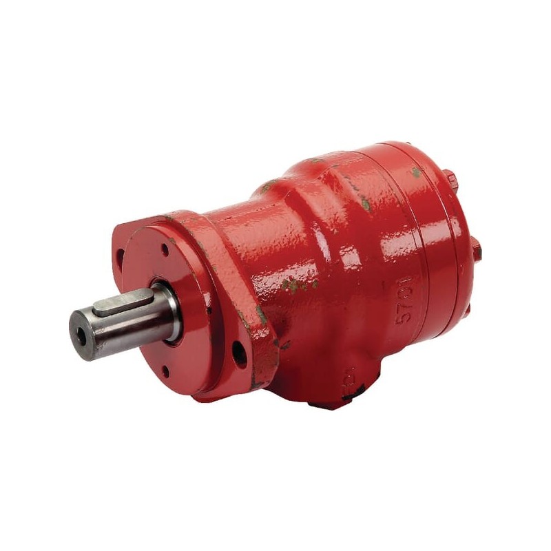 Hydraulic motor - 813701677X Hydraulic motor - 813701677X