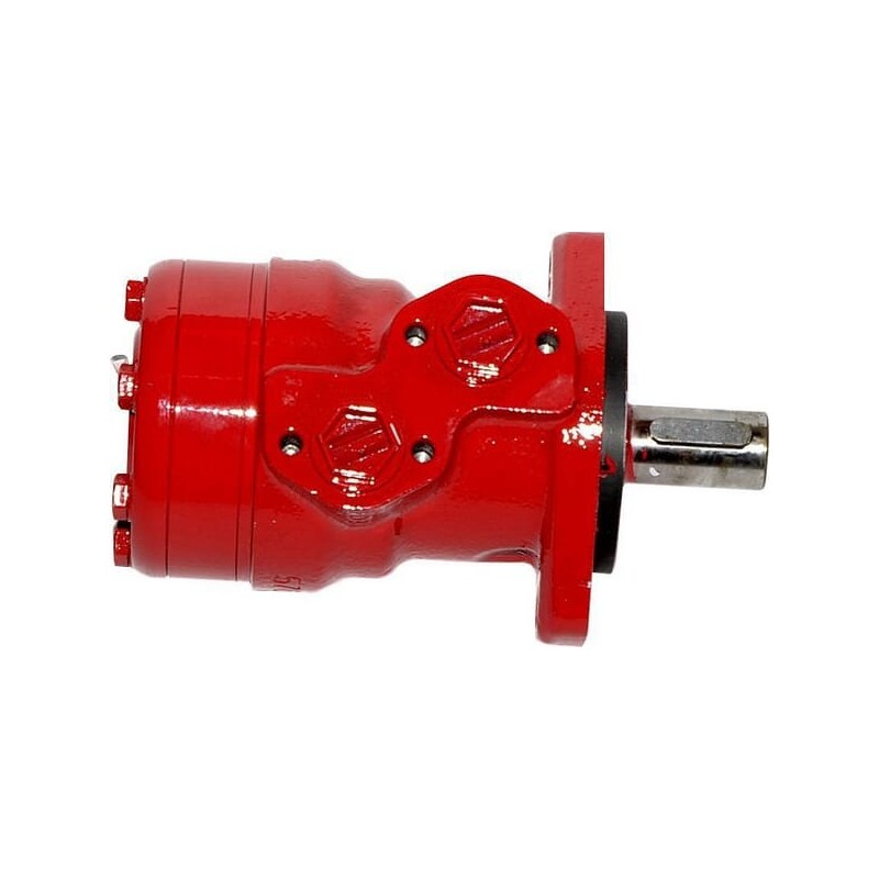 Hydraulic Motor - 813701089X