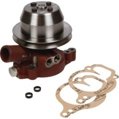 Water pumps – produkty dostępne w rolniczeczesci.pl