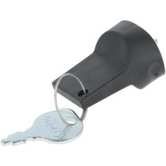 847146 Briggs & Stratton, Ignition keys 