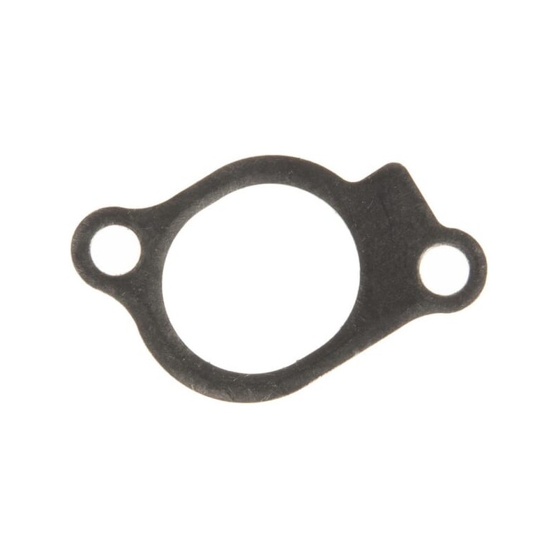 Intake gasket - 847671 Intake gasket - 847671