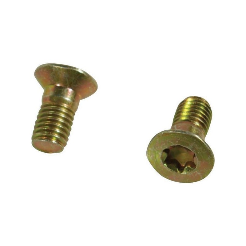 Torxschraube M10x20 - 84912 Torxschraube M10x20 - 84912