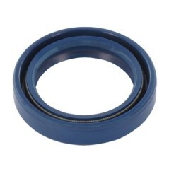845659 Briggs & Stratton, Gaskets 
