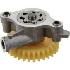 843959 Briggs & Stratton, Lubrication 