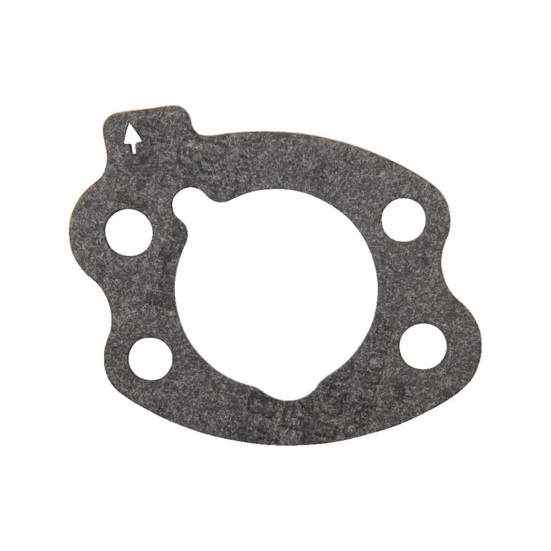 Luftfilterdichtung Briggs Stratton - 844931