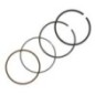 Piston ring set standard - 843793