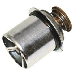 Thermostats – produkty dostępne w rolniczeczesci.pl