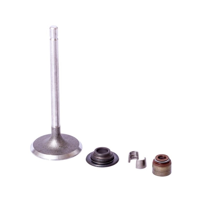 Intake valve - 843730 Intake valve - 843730