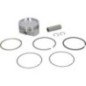 Piston assembly - 843805