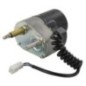 Motor CNH - 84173767 Motor CNH - 84173767