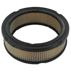 841359 Briggs & Stratton, Filter 